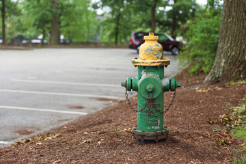 Fototapeta na wymiar fire hydrant stands as a symbol of safety and preparedness, representing the vital role it plays in protecting communities from fires