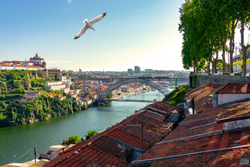 Beautiful colorful cityscape of Porto Portugal next to Duero river in Ribeira with dom luiz and a seagull - obrazy, fototapety, plakaty