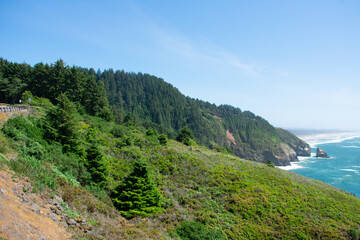 Fototapeta premium Oregon Coastine