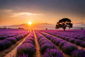 Fototapeta premium lavender field at sunset generated ai
