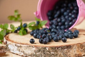 Blueberry, wild berry on a birch stand. Blueberry antioxidant organic superfood in concept for healthy eating and health