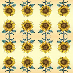 set of sunflower pattern background illustration