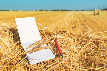 three spikelets of wheat on a dry stalk and an empty notebook without notes with a fountain pen