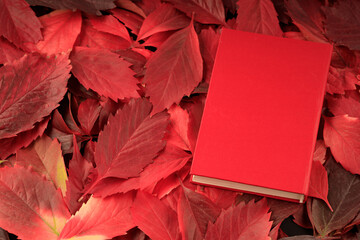 red autumn leaves and a red book on them. reading books in autumn