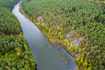 Fototapeta na wymiar aerial view of the river and forest, summer day