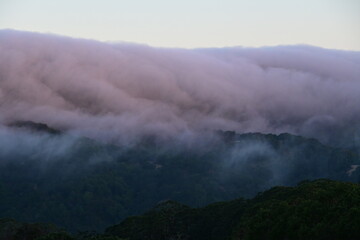 fog in the mountains