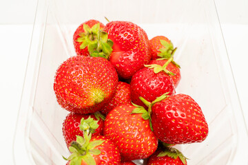 strawberries on white background