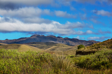 Fototapeta premium Green hills in Colombia