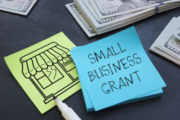 Small Business Grants is shown using the text and photo of dollars