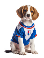 sporty puppy with a jersey, isolated on a transparant background, funny animals, clipart cutout scrapbook