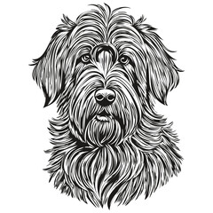 Briard dog logo vector black and white, vintage cute dog head engraved sketch drawing