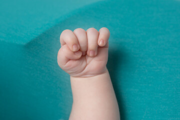 hands of a newborn baby. little hands