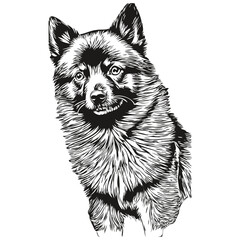 Schipperke dog hand drawn logo drawing black and white line art pets illustration realistic breed pet