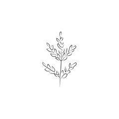 hand drawn flower icon