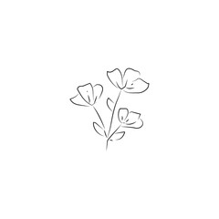hand drawn flower icon