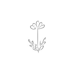 hand drawn flower icon