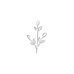 hand drawn flower icon