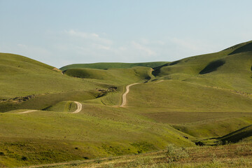 Fototapeta premium landscape with hills