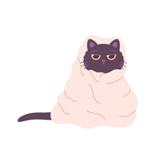 Cute black cat in blanket. Domestic pets, feline activities. Vector illustration in flat style