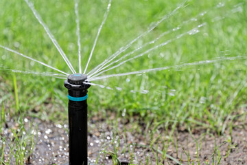 Water spraying out of pop-up sprinkler head - 619944765