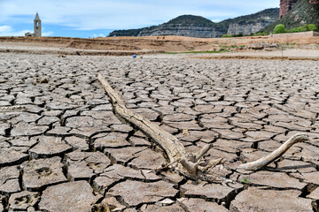 Gerona, Spain:04.23.2023; The dry stick  in Sau reservoir in Catalonia - obrazy, fototapety, plakaty