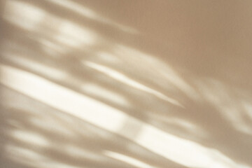 Tropical leaf shadow blank background composition for product presentation. The background is...