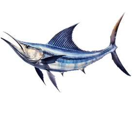 a Blue Marlin, Makaira nigricans swimming in various positions in Fishing and Aquatic-themed, photorealistic illustrations in a PNG, cutout, and isolated. Generative AI