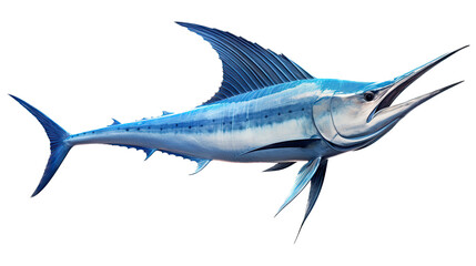 Fototapeta premium a Blue Marlin, Makaira nigricans swimming in various positions in Fishing and Aquatic-themed, photorealistic illustrations in a PNG, cutout, and isolated. Generative AI