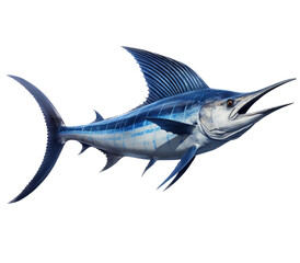 Fototapeta premium a Blue Marlin, Makaira nigricans swimming in various positions in Fishing and Aquatic-themed, photorealistic illustrations in a PNG, cutout, and isolated. Generative AI