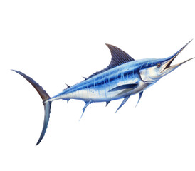 a Blue Marlin, Makaira nigricans swimming in various positions in Fishing and Aquatic-themed, photorealistic illustrations in a PNG, cutout, and isolated. Generative AI