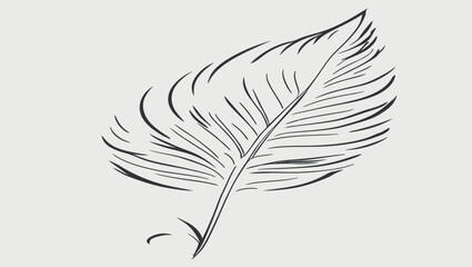 set of feathers