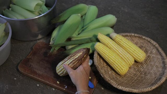 Recife, Pernambuco, Brazil. 07, 05, 2023. Video shows the preparation of Pamonha, a typical food made from corn that is served on the feasts of S&atilde;o Jo&atilde;o.