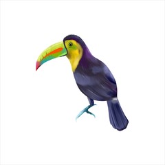 Watercolor illustration of an exotic toucan bird isolated on a white background. Greeting cards, wedding invitations, flyers and banners.