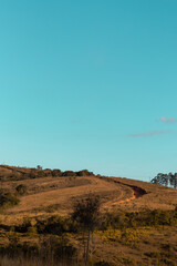 landscape in the desert