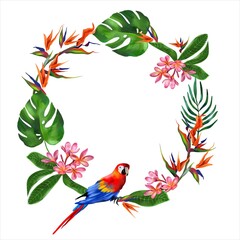 Macaw parrot and exotic plants. Watercolor tropical wreath isolated on white background. Greeting cards, wedding invitations, flyers and banners.