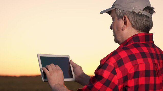 farmer using tablet hand watches sunset wheat field. beautiful image agriculture sun. farm own smart engaged man uses digital technology manage crops. harvesting crops checking wheat with help tablet
