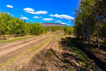 Fototapeta na wymiar South Ural forest road with a unique landscape, vegetation and diversity of nature in spring.