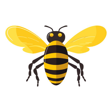 Bee icon. Cute image of isolated bee. Vector illustration