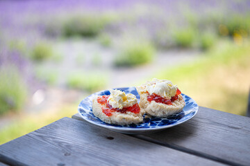 Afternoon cream tea done the Cornish way with home made scones 
