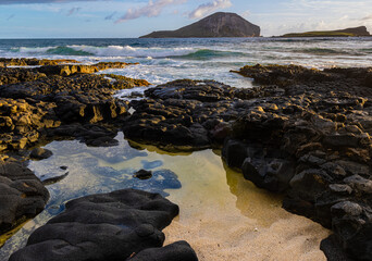 Tide Pools and The Volcanic Shoreline of Makapu'u Beach With Manana (Rabbit)  and Koahikaipu Island In The Distance, Oahu, Hawaii, USA