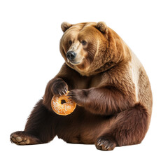 a hungry Grizzly/Brown bear eating a big donut, Fun-themed, photorealistic illustration in a PNG, cutout, and isolated. Generative AI