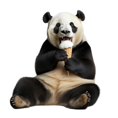 Fototapeta premium a hungry Giant Panda bear eating a vanilla ice cream cone, Fun-themed, photorealistic illustration in a PNG, cutout, and isolated. Generative AI