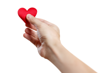 Male hand holding a red heart, cut out