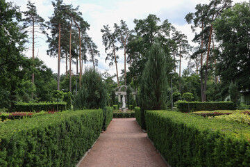 The garden in the park of palace.