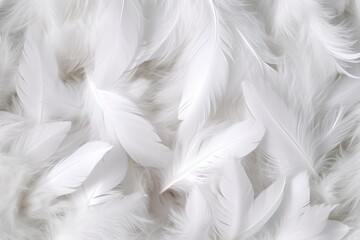 white feathers background, generative ai - obrazy, fototapety, plakaty