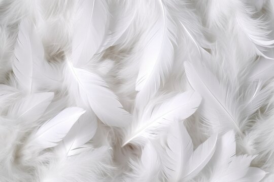 white feathers background, generative ai © FrankBoston