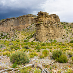 Stone Tower Formation and Wildflowers on Kyle Canyon Road, Red Rock National Conservation Area, Nevada, USA