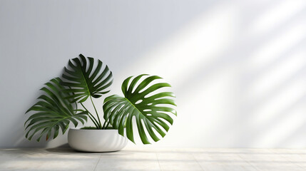 Beautiful foliage of tropical plant tree in sunlight, leaf shadow on table counter and white wall with space in background for product display backdrop. Generative AI.