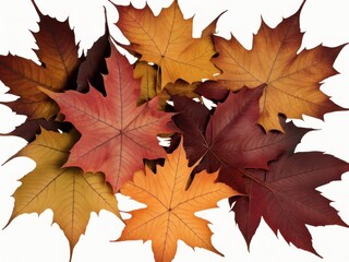 Naklejka na ściany i meble Natural colorful autumn maple leaves stacked in a circle, created with generative ai, ki