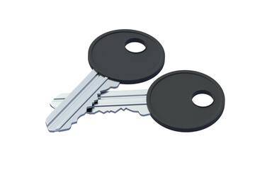 Two keys isolated on white background. 3d render